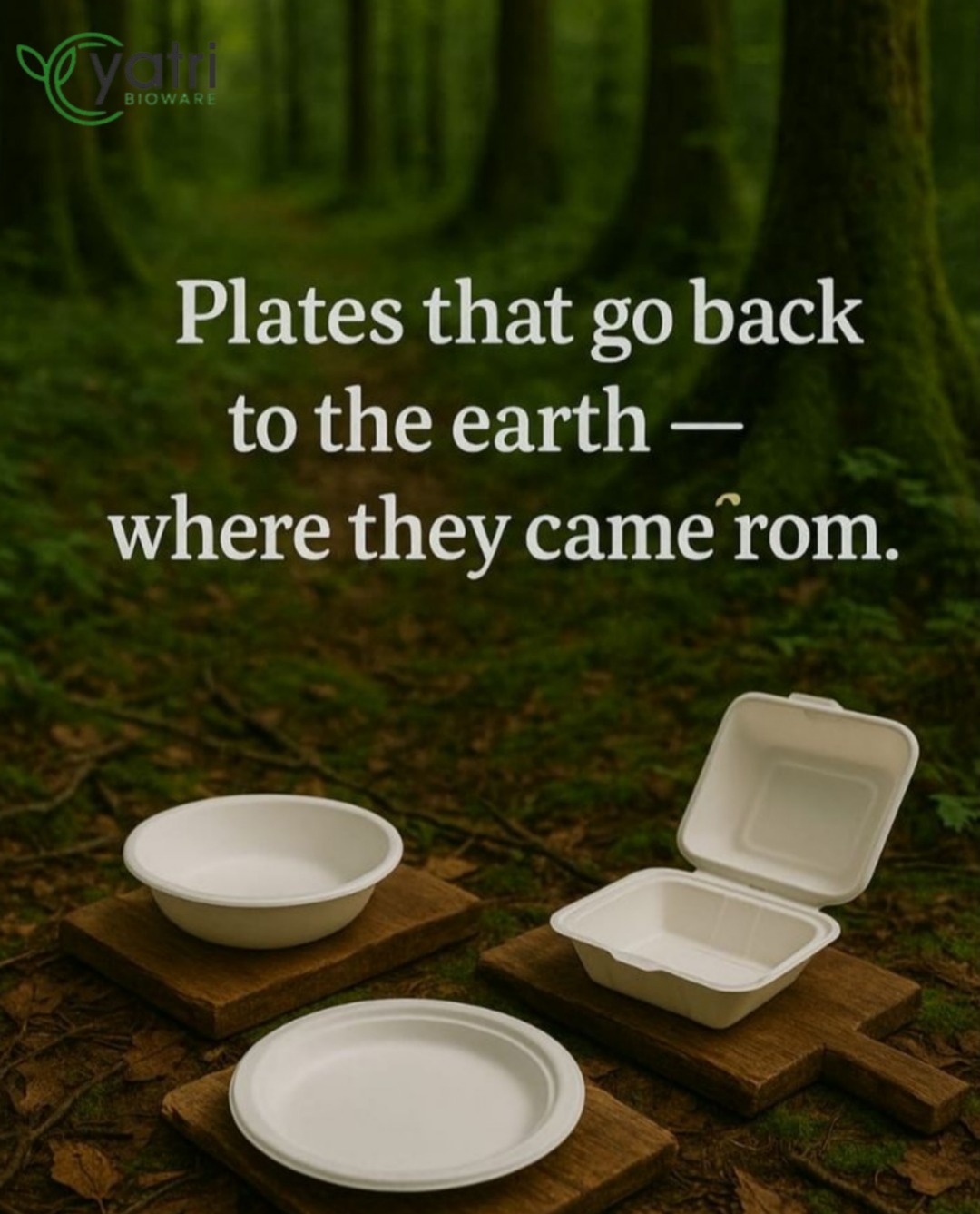 Plates That Go Back to the Earth: The Sustainable Promise of Yatri Bioware | Yatri Bioware