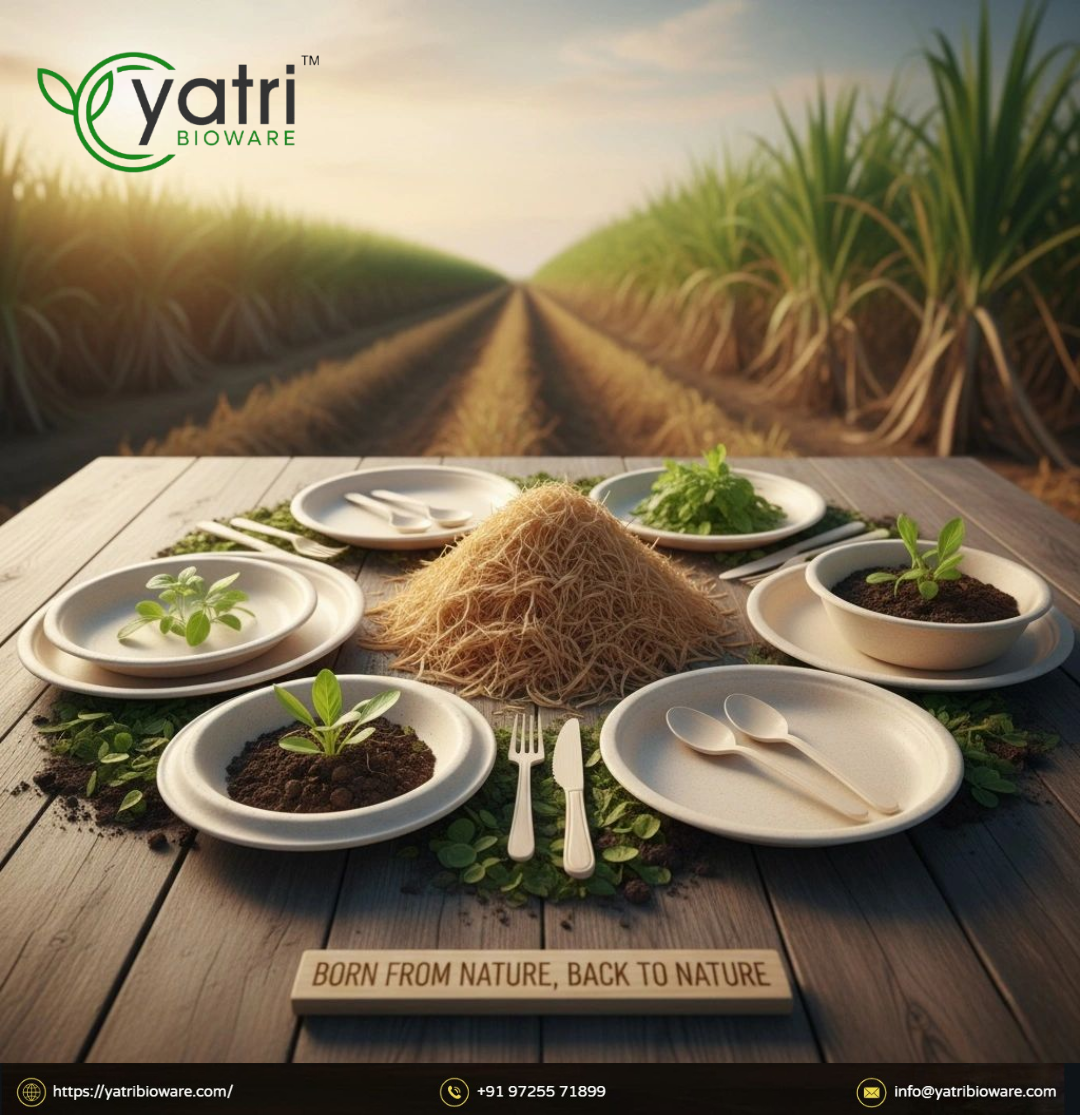 From Sugarcane Fields to Sustainable Plates – How Yatri Bioware is Replacing Plastic for Good | Yatri Bioware
